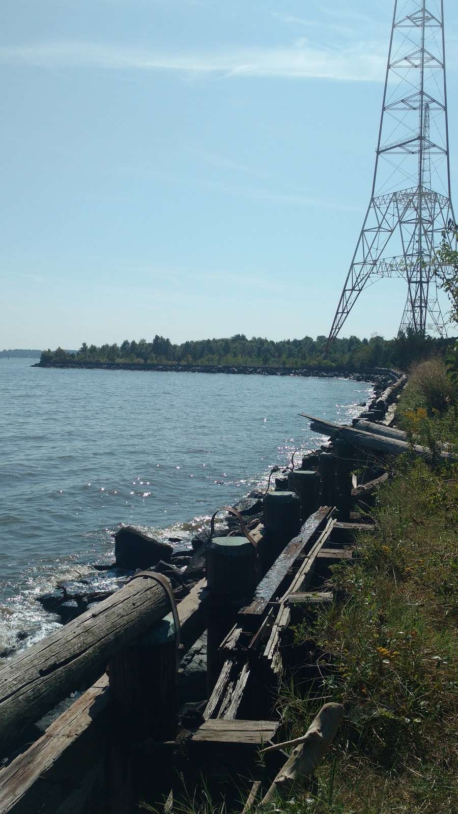 Greenbury Point Conservation Area | Annapolis, MD 21402