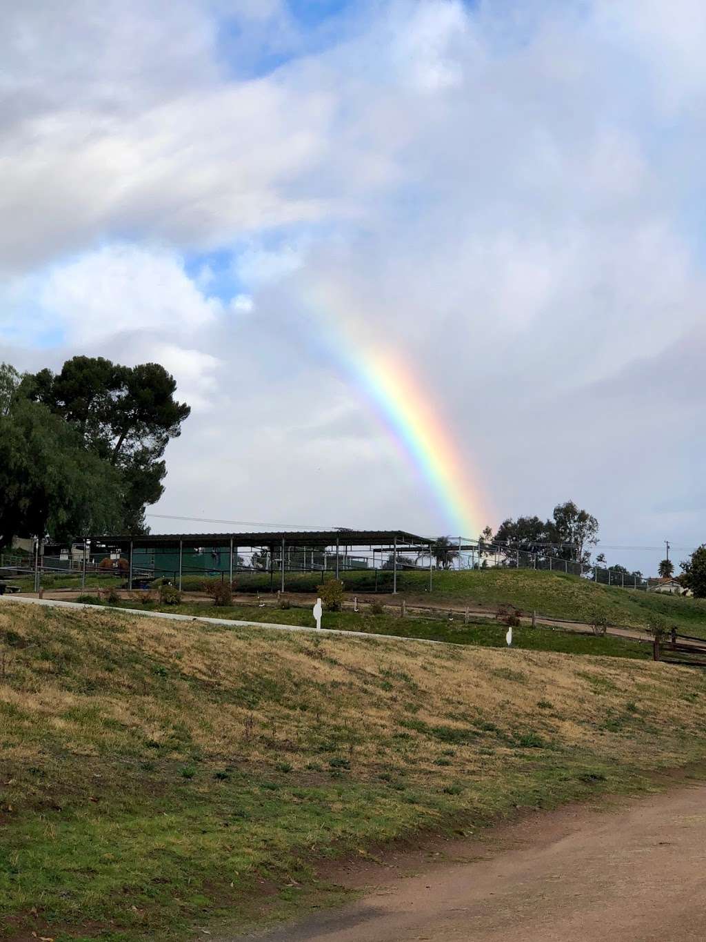 Apollo Equestrian at CW Farms | 30673 Andreen Rd, Valley Center, CA 92082, USA | Phone: (512) 736-3482