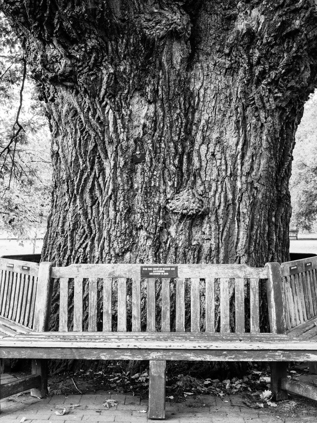 Lockerbie Memorial Bench/Oak | Richmond TW9 3AQ, UK