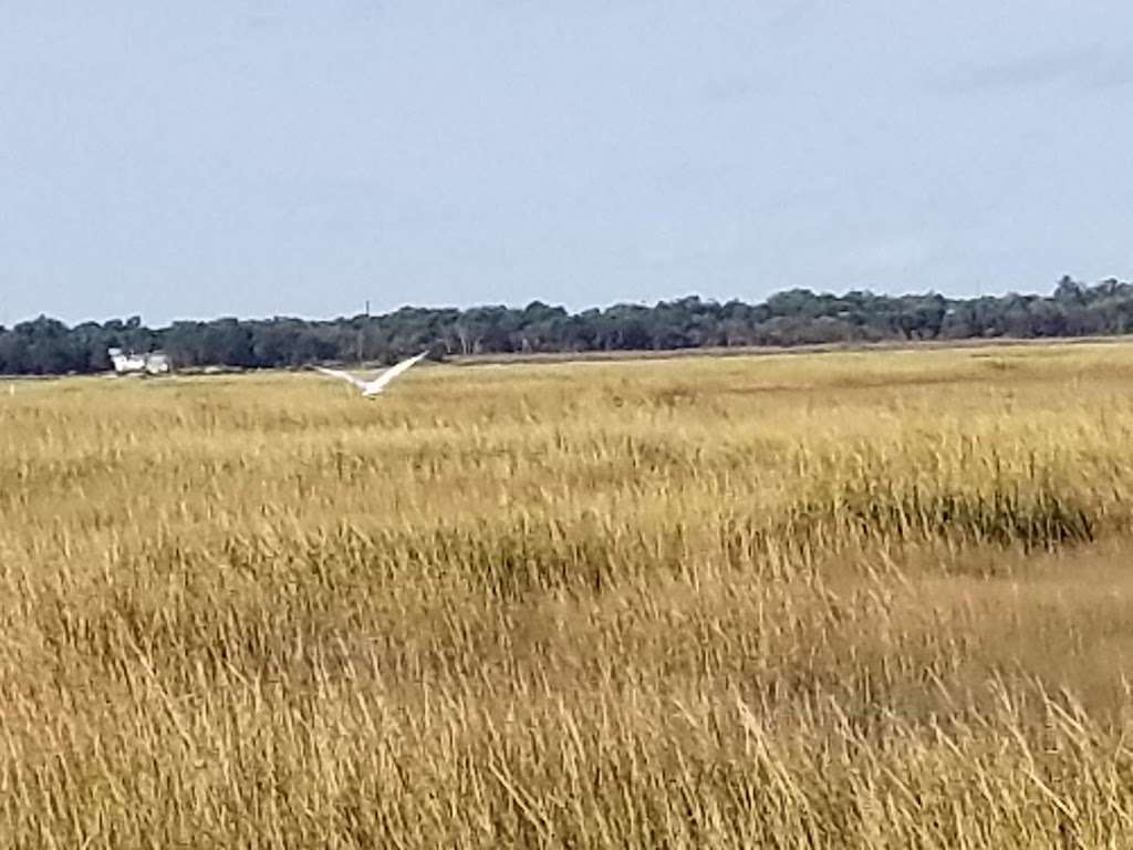 Pork Island Wildlife Management Area | Longport, NJ 08403