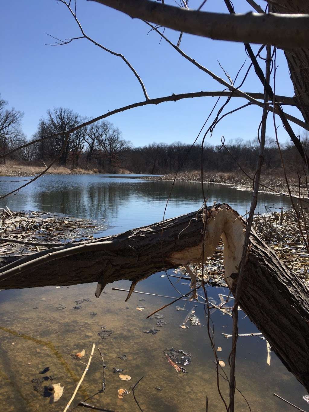 Prairie Oaks Forest Preserve | 7535 Cherry Valley Rd, Kingston, IL 60145, USA