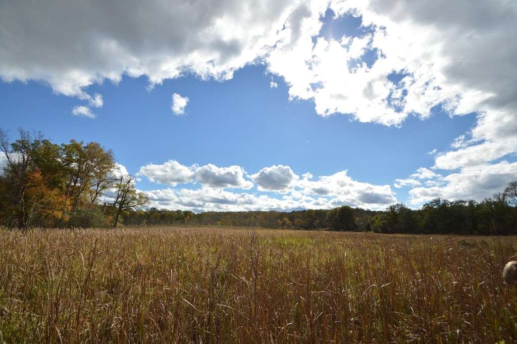 Piscataway Park; Accokeek Creek Boardwalk | 2613-2687 Bryan Point Rd, Accokeek, MD 20607