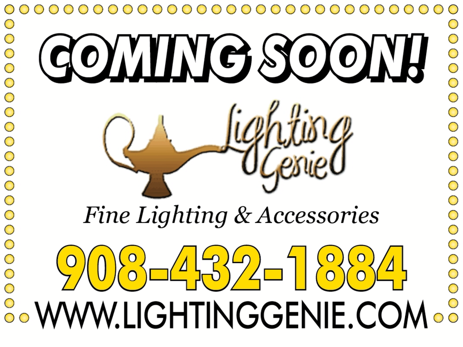 Lighting Genie | 80 Somerset St, Somerville, NJ 08876 | Phone: (908) 432-1884