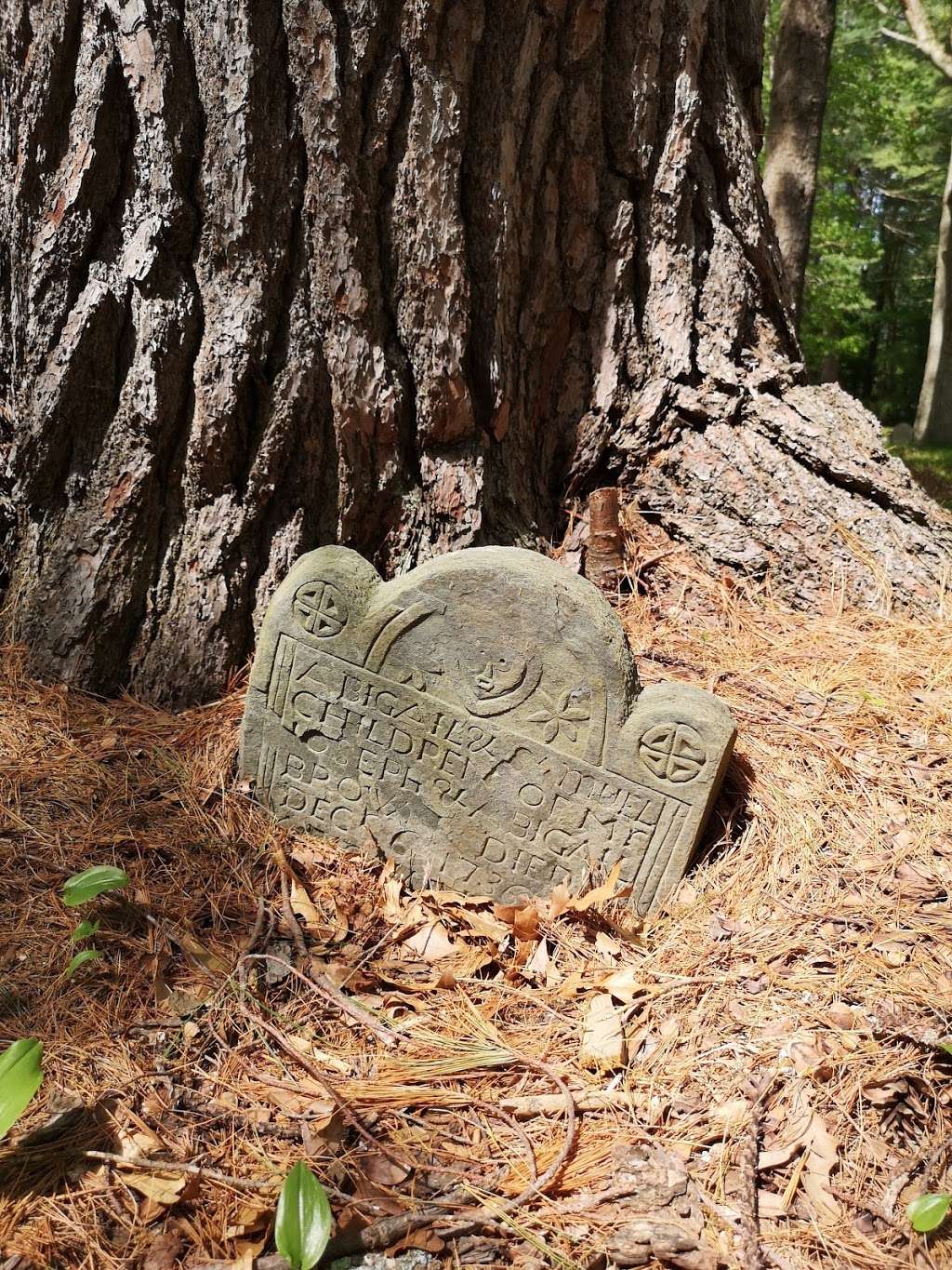 Sawyer Hill Burying Ground | Newburyport, MA 01950, USA