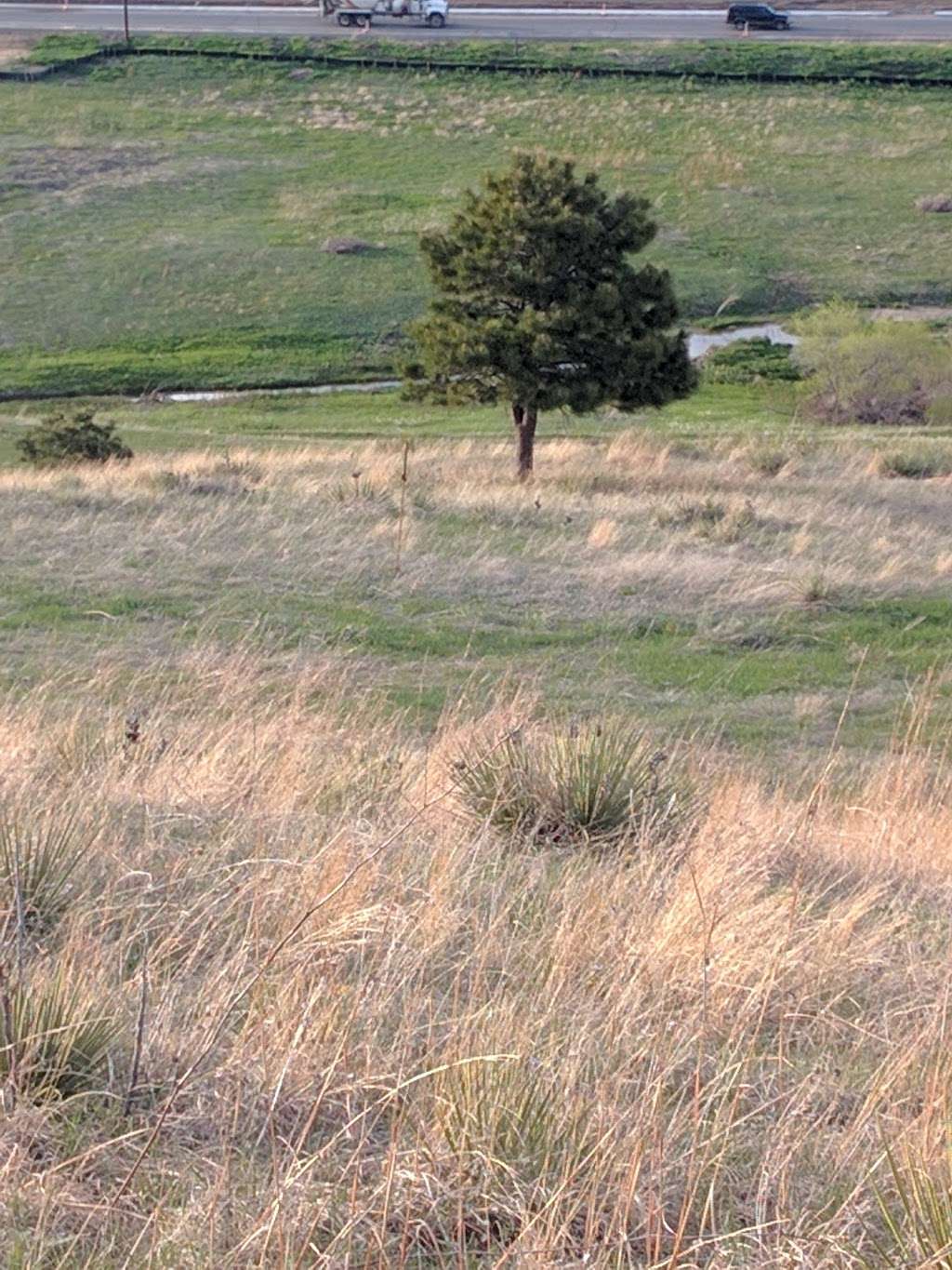 Pattridge Open Space | W 82nd Ave, Arvada, CO 80007, USA