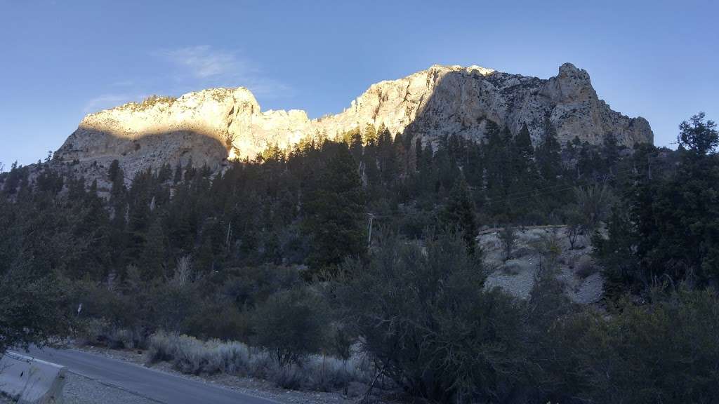 Trail Canyon Trail Head | Trail Canyon, Mt Charleston, NV 89124, USA | Phone: (702) 872-5486