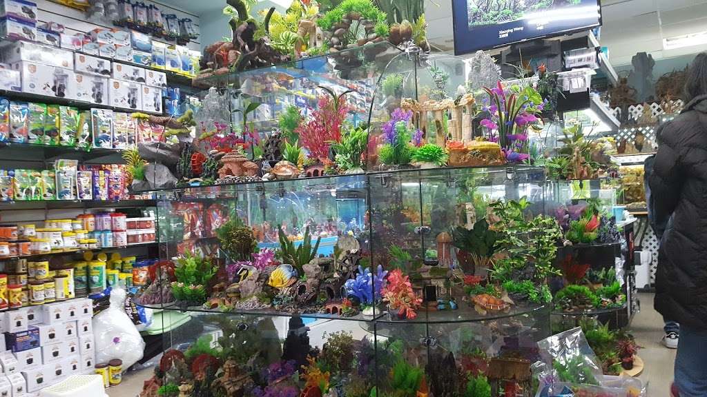 Amazing Aquarium | 2136 86th St, Brooklyn, NY 11214, USA | Phone: (718) 996-0171