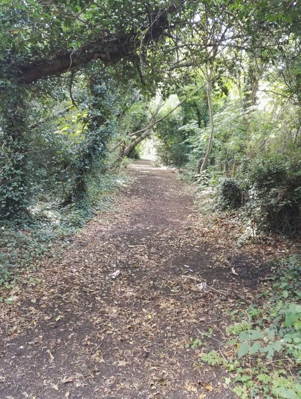 Mill Hill Old Railway nature Reserve | Edgware HA8 9FA, UK