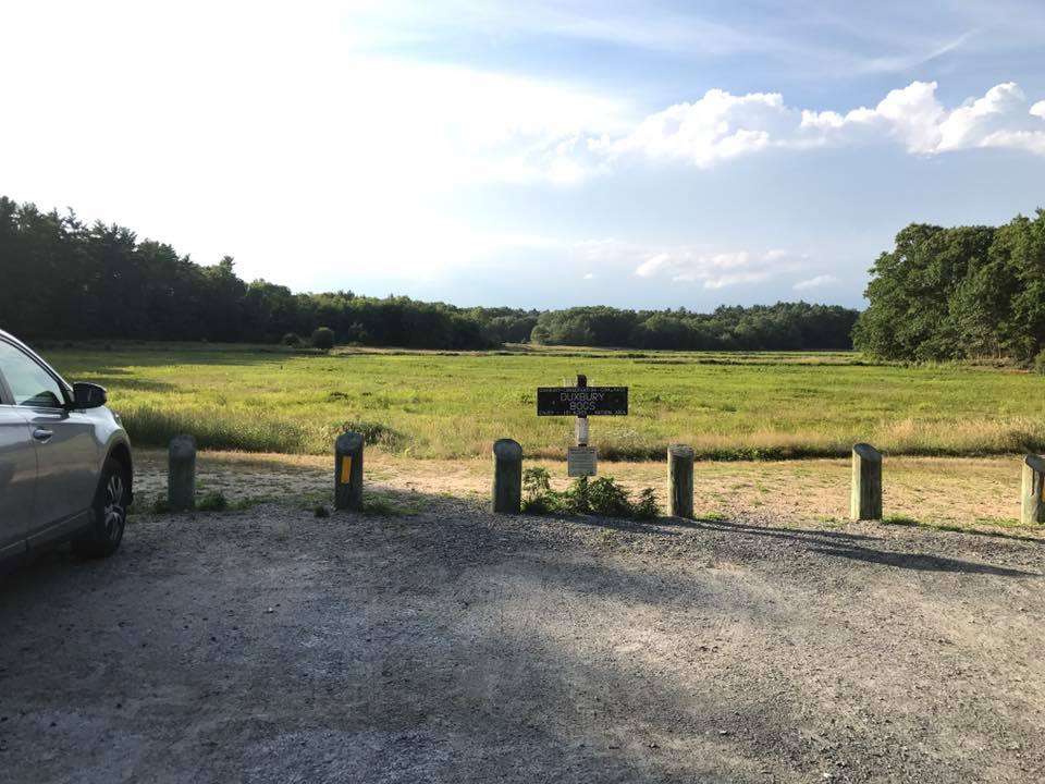 Duxbury Bogs | Duxbury, MA 02332, USA