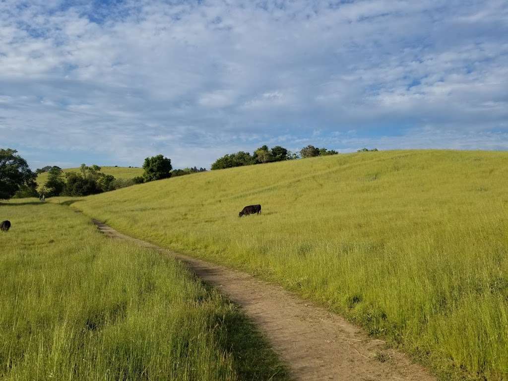 Crane Creek Regional Park | 5000 Pressley Rd, Santa Rosa, CA 95404 | Phone: (707) 539-8092