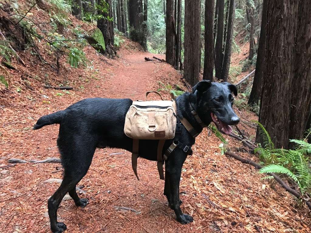 Moon Gate | Connector Trail, Oakland, CA 94611, USA