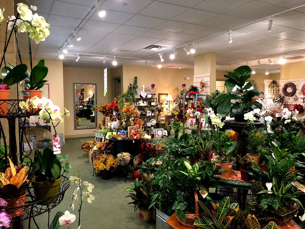 Hy-Vee Flowers By Rob | 5005 Frederick Ave, St Joseph, MO 64506 | Phone: (816) 232-3326