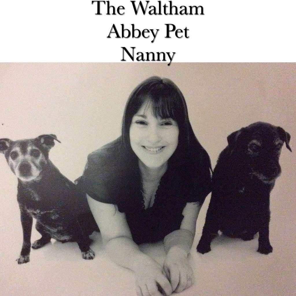 The Waltham Abbey Pet Nanny | 21 Walton Gardens, Waltham Abbey EN9 1BL, UK | Phone: 01992 700142