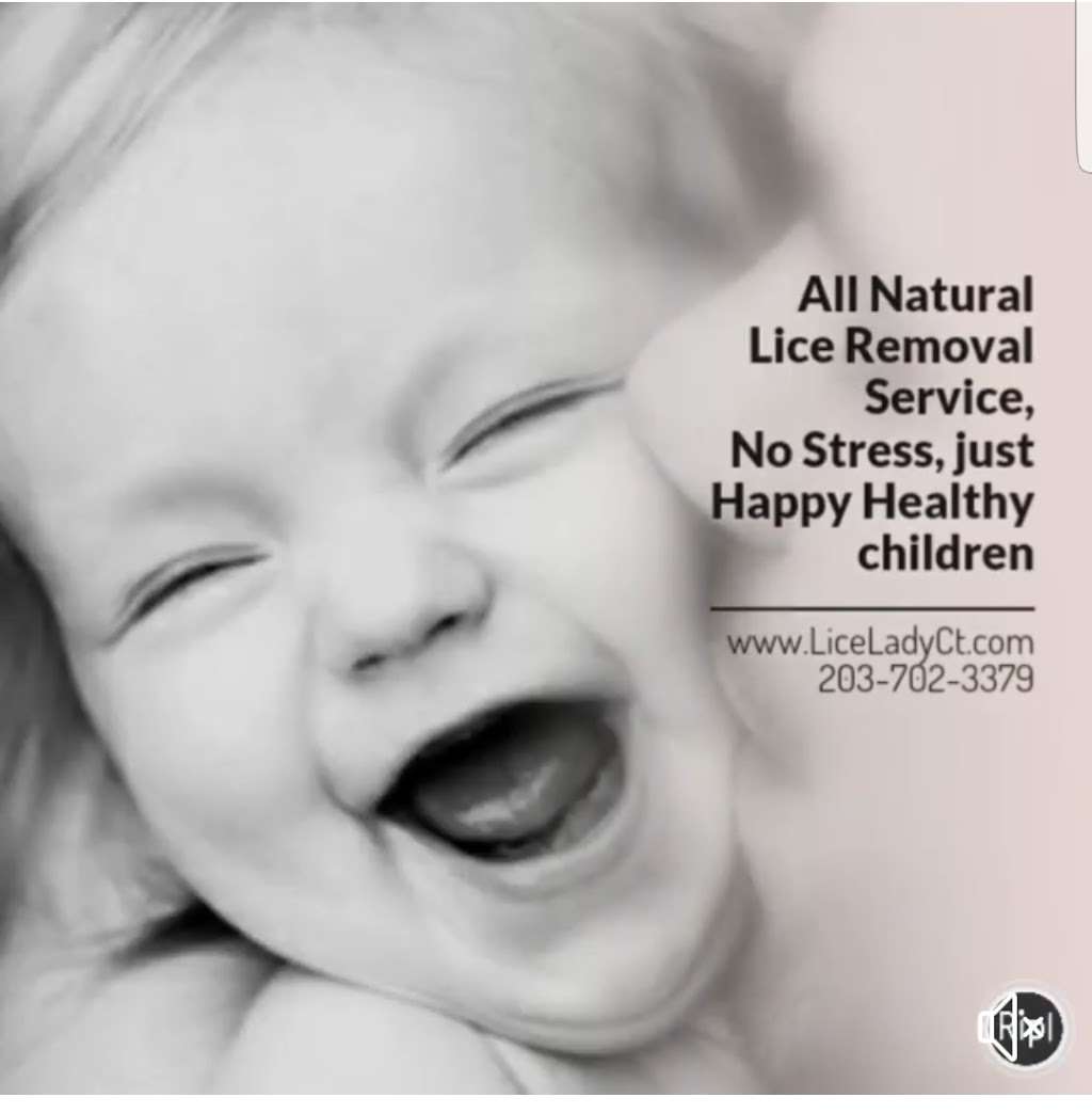 All Natural Lice Removal Service | 14 Banquo Brae Rd, Brookfield, CT 06804 | Phone: (203) 702-3379