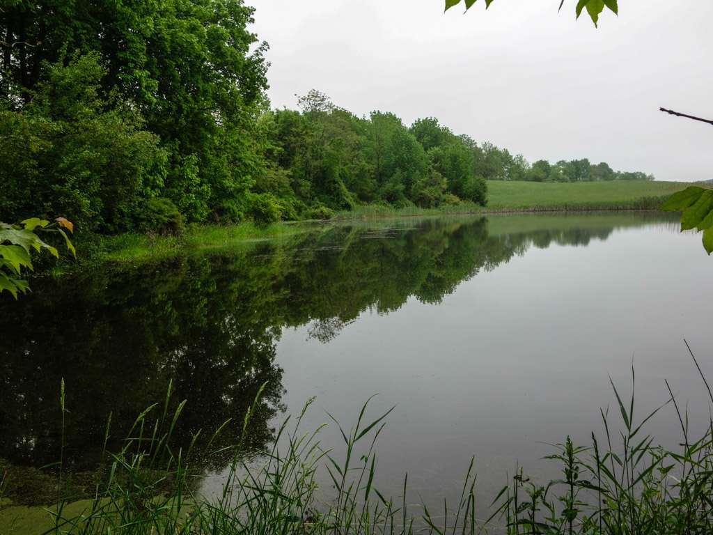 Appalachian Trail | Gemmer Rd, Wantage, NJ 07461, USA