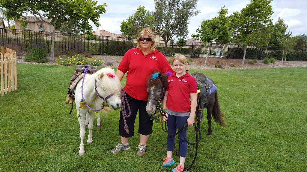 SweetWater Farms Petting Zoo and Pony Rides | 27825 California Ave, Winchester, CA 92596, USA | Phone: (909) 226-9829