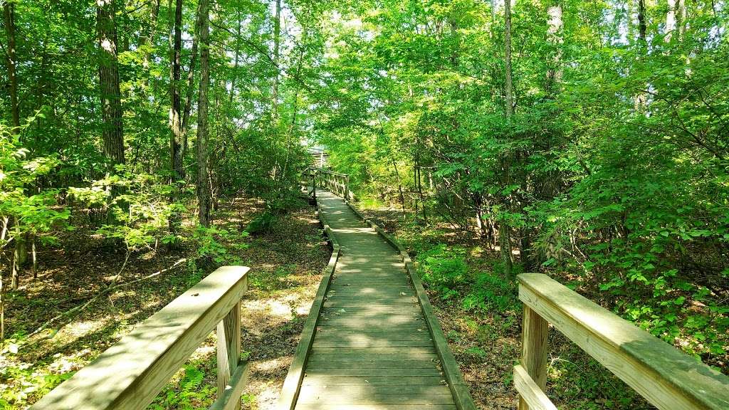 Great Swamp National Wildlife Refuge Wilderness Area | 220 Long Hill Rd, Gillette, NJ 07933, USA | Phone: (973) 425-1222