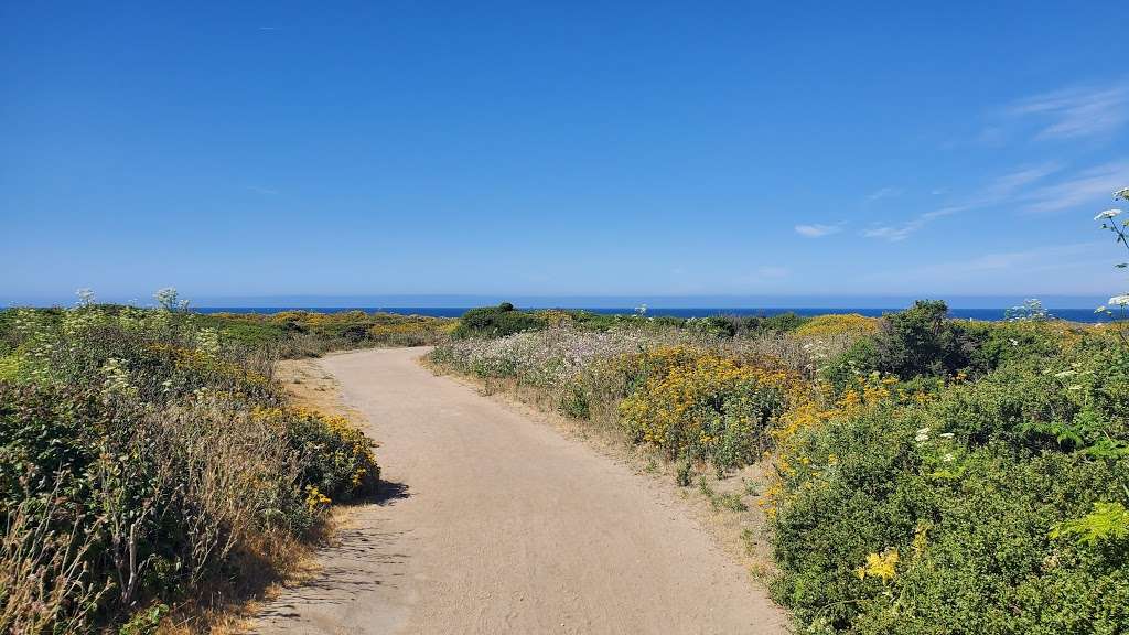 Wilder Ranch State Park | 1401 Coast Rd, Santa Cruz, CA 95060, USA | Phone: (831) 423-9703