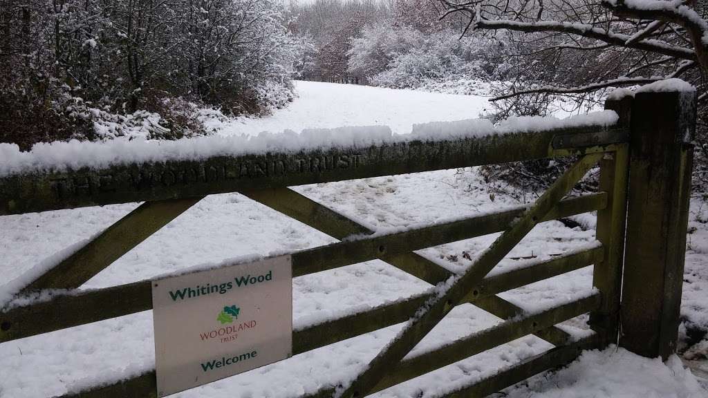 Whitings Hill Open Space | Greenland Rd, Barnet EN5 3BL, UK | Phone: 020 8359 2000