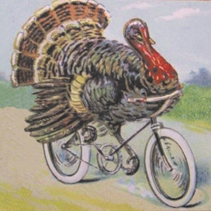 Veloworx Bikes | 3106 Lincoln Blvd, Santa Monica, CA 90405, USA | Phone: (310) 584-9797