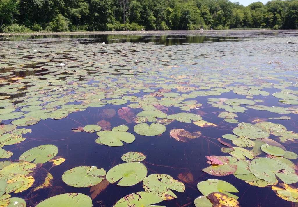 Russia Brook Sanctuary | Stockholm, NJ 07460, USA | Phone: (973) 532-9830