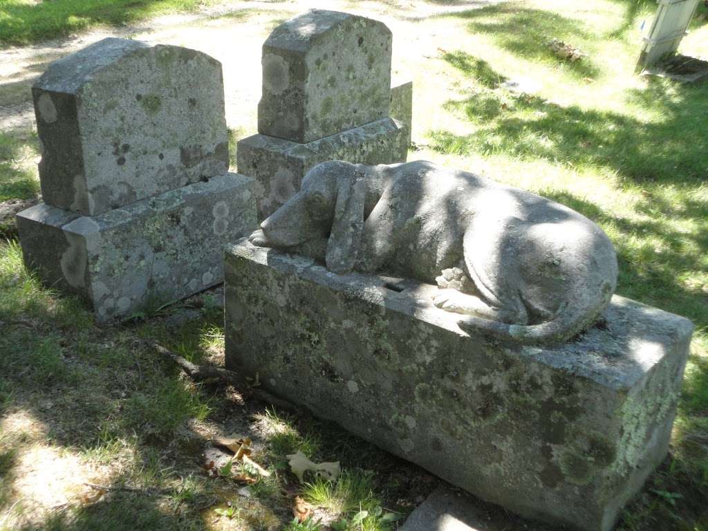 William G. Bruces Grave (dog monument) | Mont Vernon, NH 03057, USA