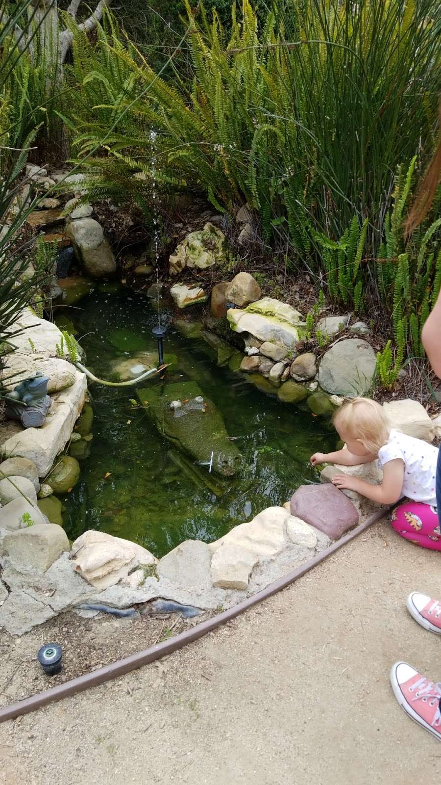 Kids Adventure Garden | Jeaunine Dr, Thousand Oaks, CA 91360, USA | Phone: (805) 494-7630