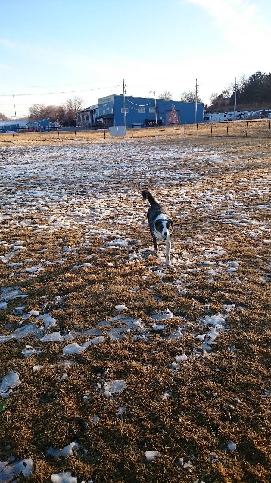 Beardmore Freedom Dog Park | 410 Fort Crook Rd N, Bellevue, NE 68005, USA | Phone: (402) 734-2525