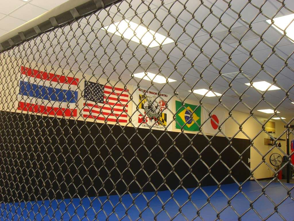 Calvert MMA Academy - Lineage BJJ / Gracie Jiu-Jitsu | 25 Dalrymple Rd (Suites 103 & 104, Sunderland, MD 20689, USA | Phone: (410) 257-5425