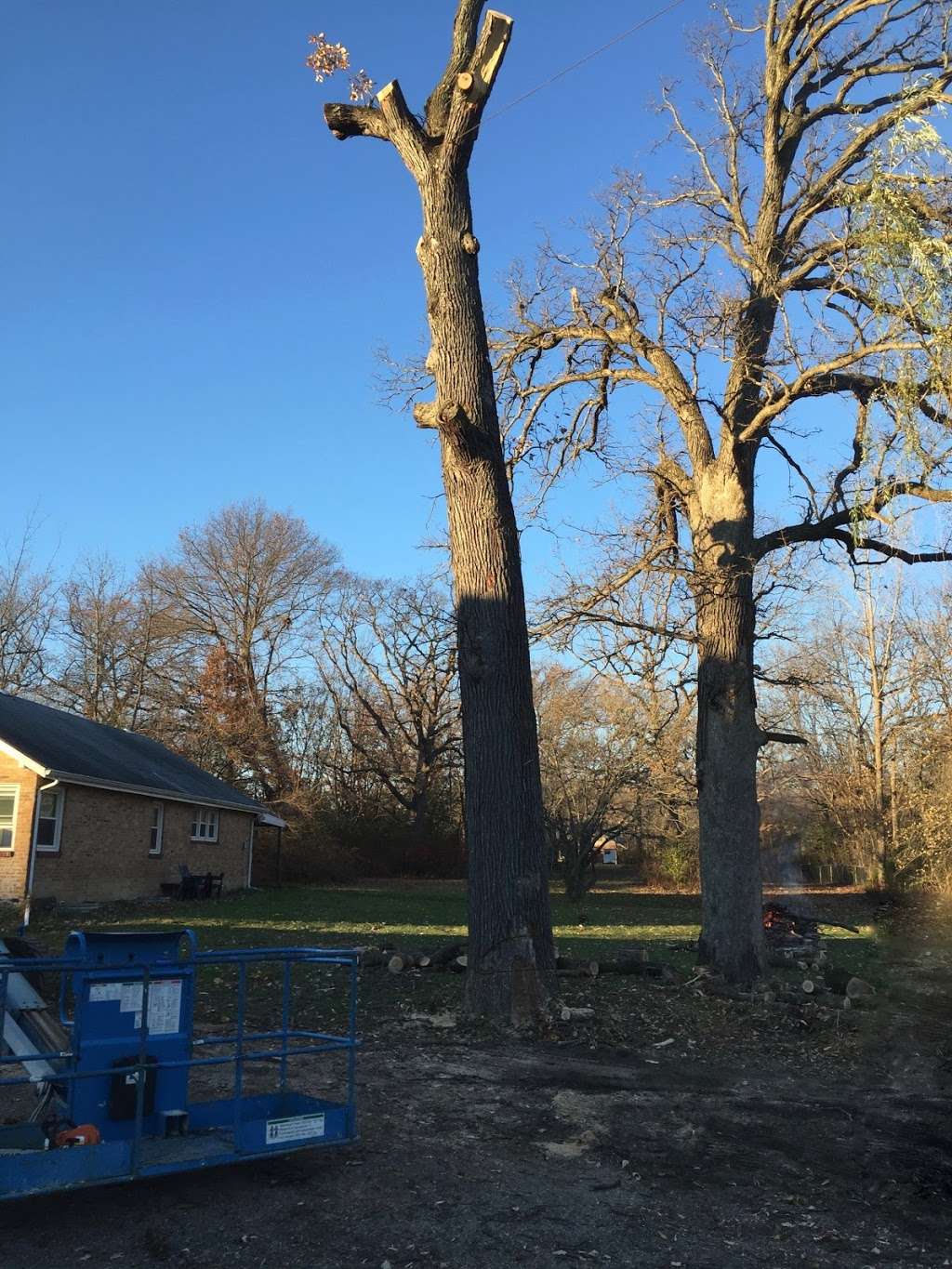 Gooseland Tree & Excavating | 10400 N 10000E Rd, Grant Park, IL 60940 | Phone: (708) 259-3397