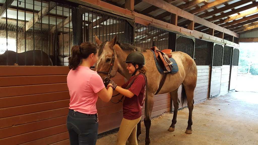 Spring Valley Equestrian Center | 56 Paulinskill Lake Rd, Newton, NJ 07860, USA | Phone: (973) 383-3766