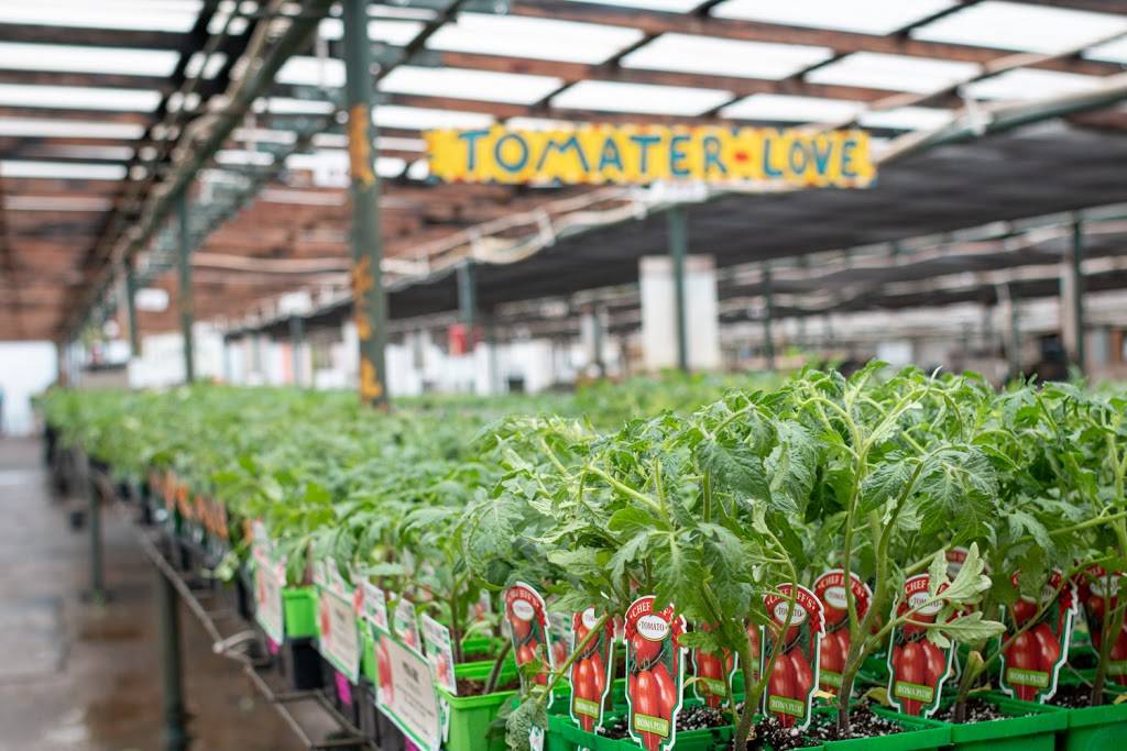 Bates Nursery and Garden Center | 3810 Whites Creek Pike, Nashville, TN 37207, USA | Phone: (615) 876-1014