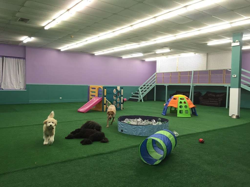 Happy Pet Place | 4817, 841 E Nerge Rd, Roselle, IL 60172, USA | Phone: (847) 278-1972