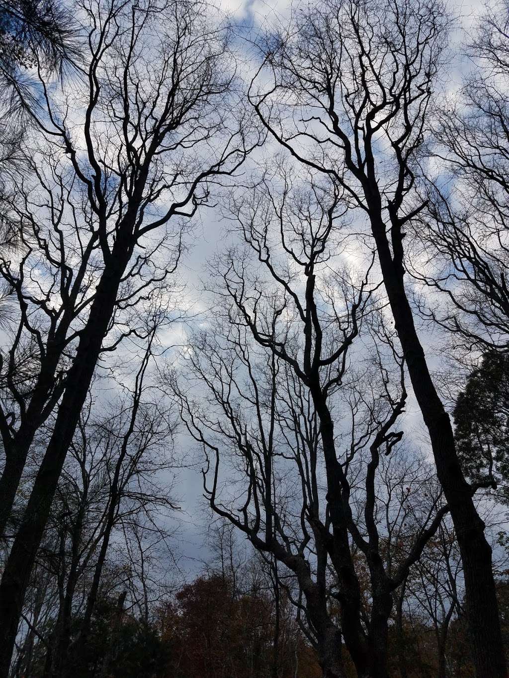 Deborah and Roger Richardson Nature Preserve | 577B Wilmarth St, Attleboro, MA 02703, USA