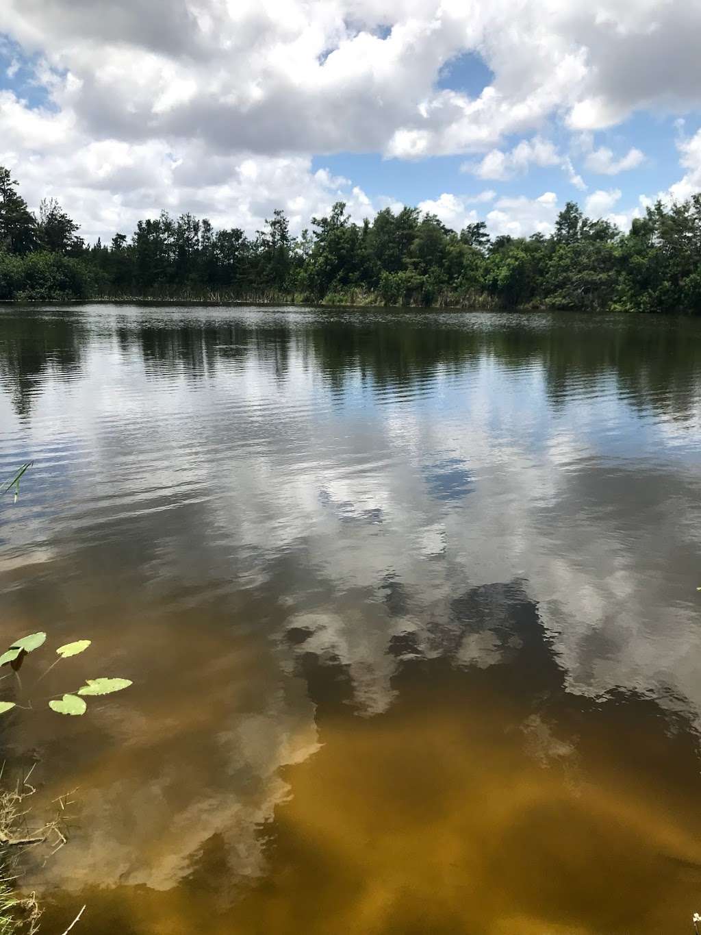 Delray Park 3D Archery Club and Frisbee Golf | Churhill Downs Dr, Delray Beach, FL 33446