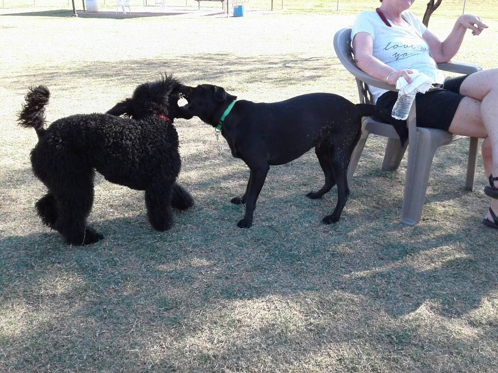 Desert Vista Dog Park | 11800 Desert Vista, Fountain Hills, AZ 85268, USA | Phone: (480) 816-5151