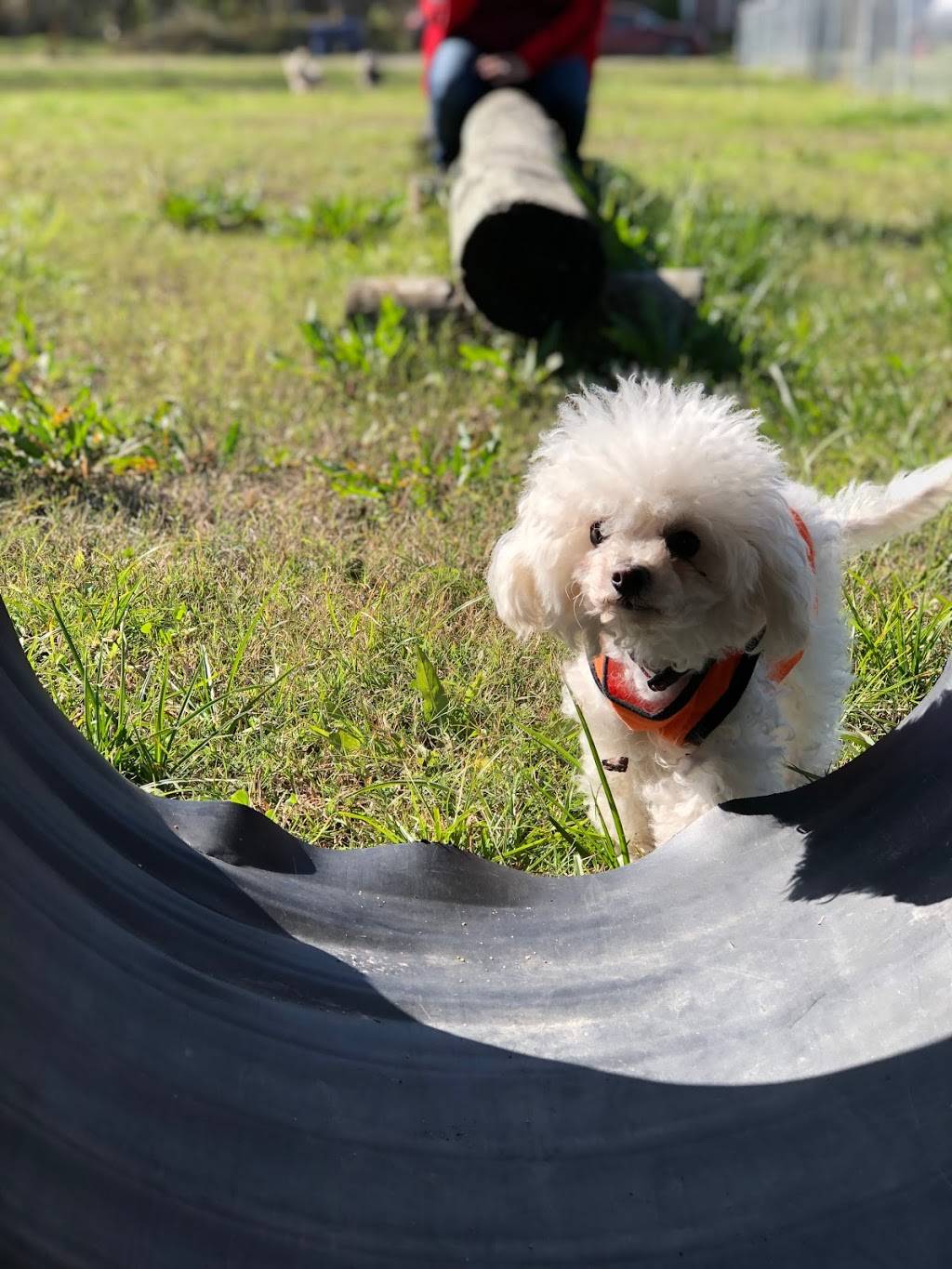 Bay City Dog Park | 1700 Avenue H, Bay City, TX 77414