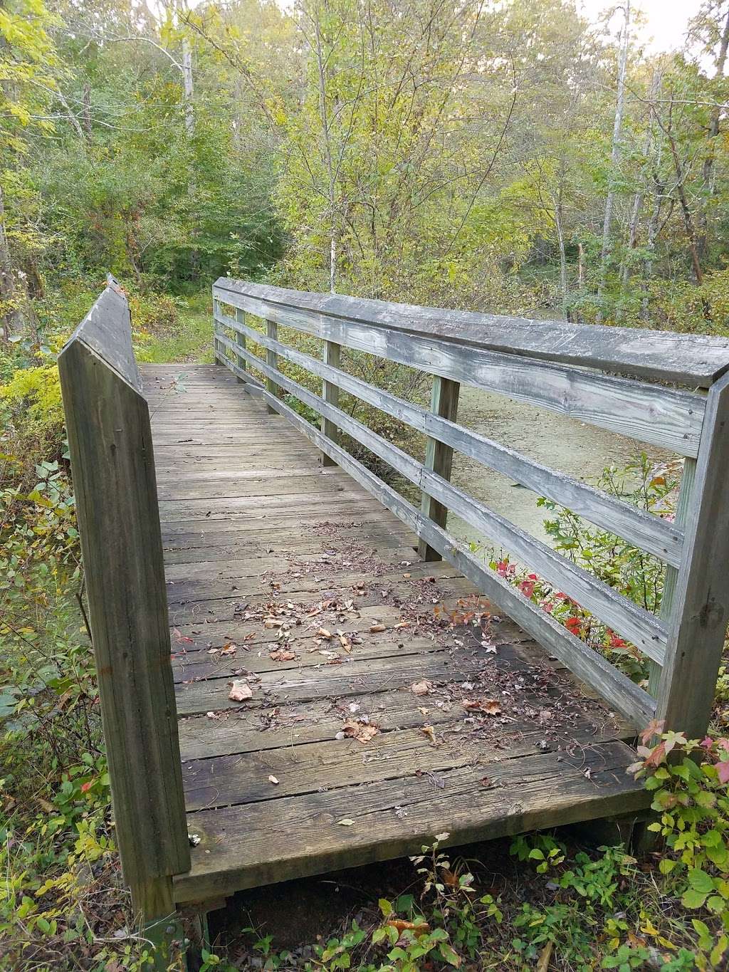 Governor Bridge Natural Area | 7600 Governor Bridge Rd, Bowie, MD 20716, USA | Phone: (301) 627-6074