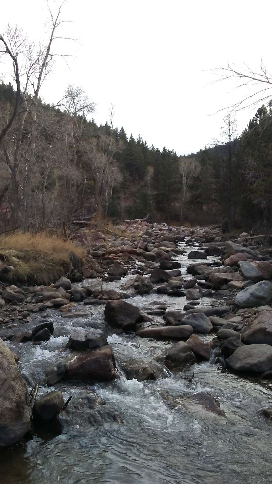 Buckingham Picnic Area | Lefthand Canyon Dr, Boulder, CO 80302, USA | Phone: (303) 678-6200