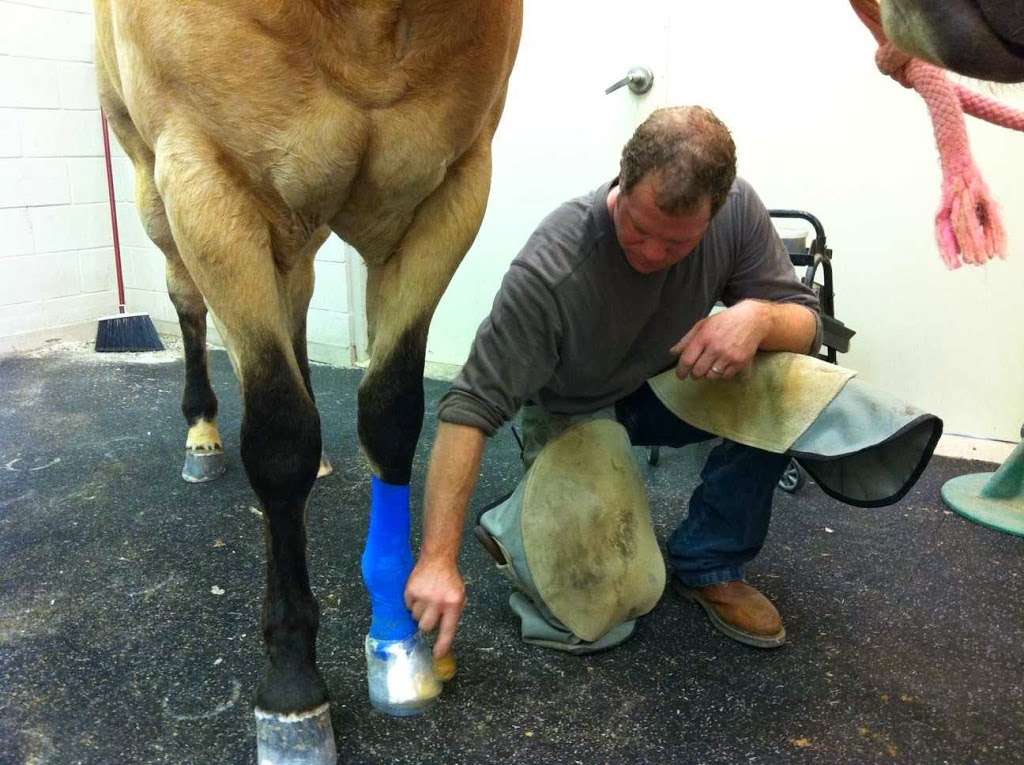 Lone Star Park Equine Hospital | 2100 Performance Pl, Grand Prairie, TX 75050, USA | Phone: (972) 237-5040