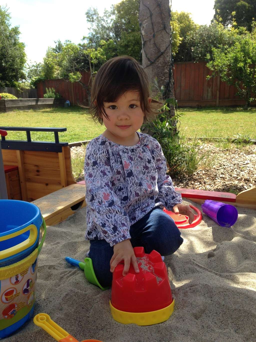 StarBright Daycare | 340 Marcella Way, Millbrae, CA 94030, USA | Phone: (650) 692-2610