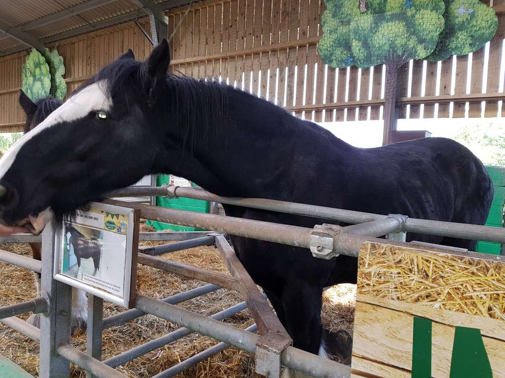 Willow Farm Maze | London Colney, St Albans AL4 0PF, UK