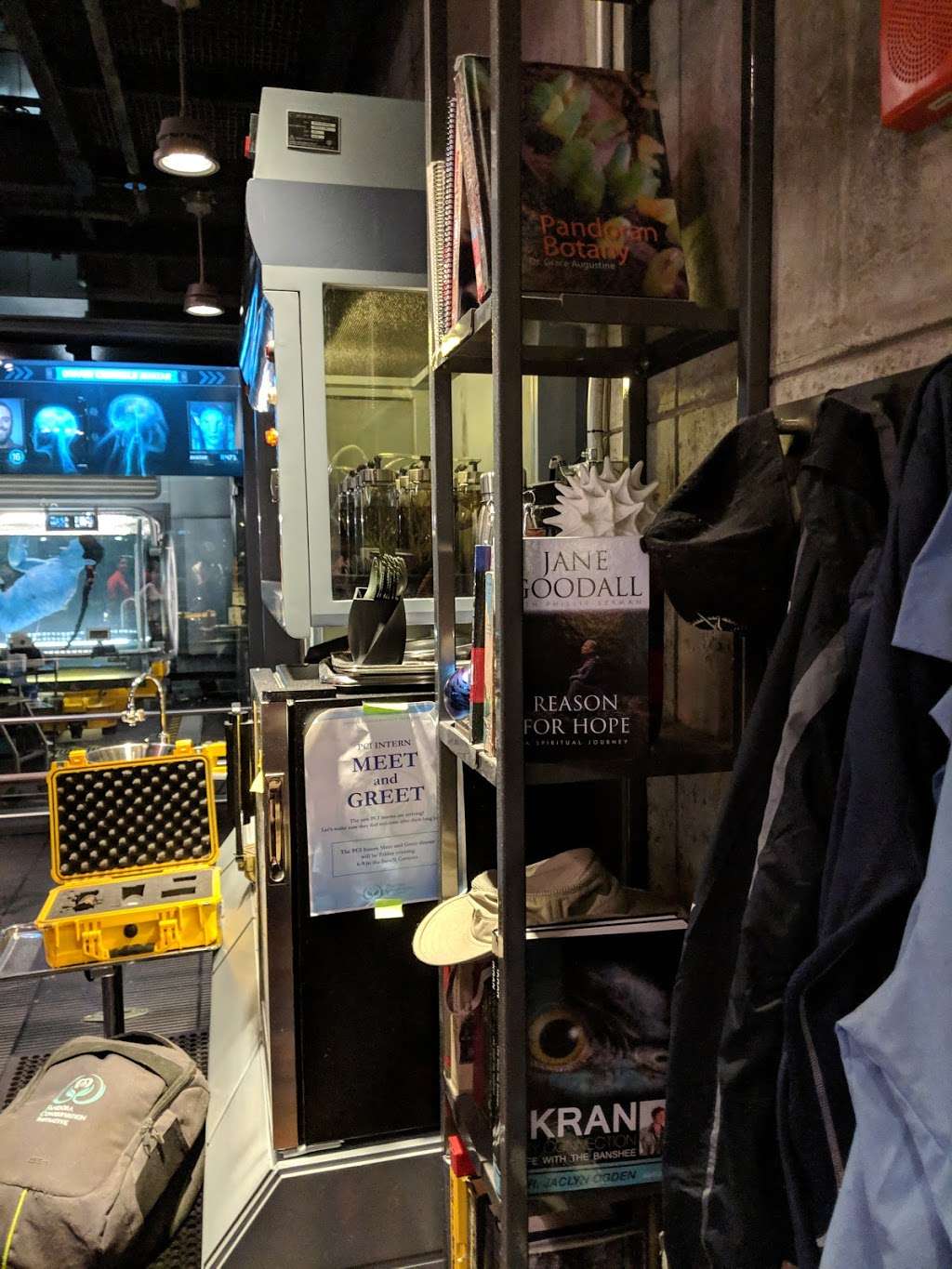Avatar Flight of Passage | 2901 Osceola Pkwy Suite C, Orlando, FL 32830, USA | Phone: (407) 939-5277