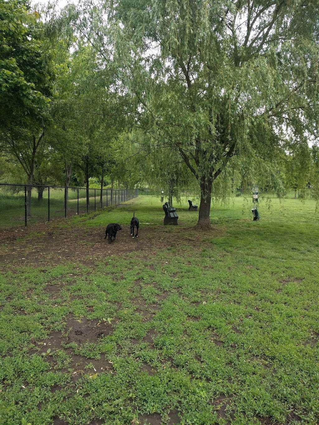 Marlboro Dog Park | 1996 Recreation Way, Marlboro Township, NJ 07746, USA