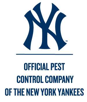 Viking Pest Control - Cecilton | 133 E Main St, Cecilton, MD 21913, USA | Phone: (410) 275-1745