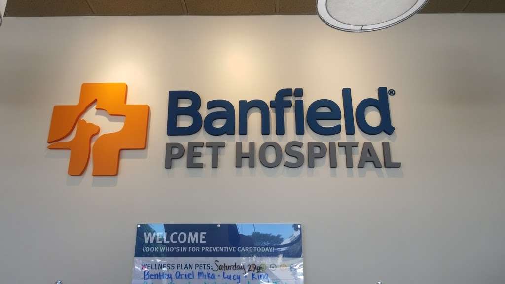 Banfield Pet Hospital | 1160 N Loop 1604 W Ste 101, San Antonio, TX 78232, USA | Phone: (210) 479-4128