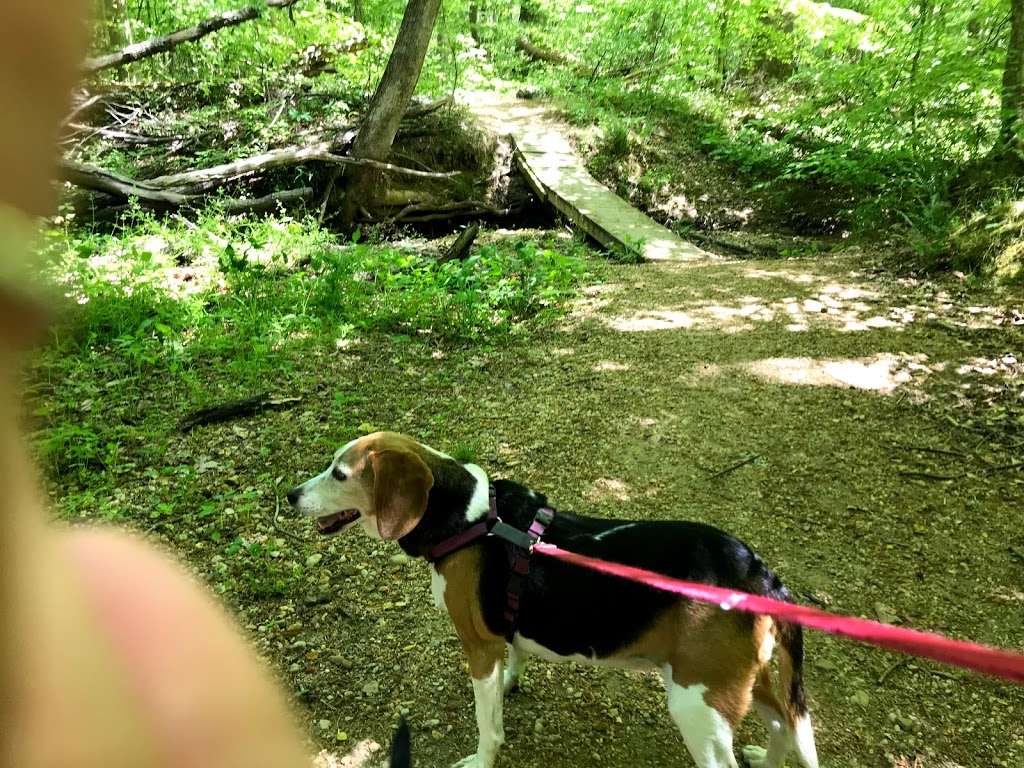 Poor Farm Park | 13400 Liberty School Rd, Ashland, VA 23005, USA | Phone: (804) 275-0722