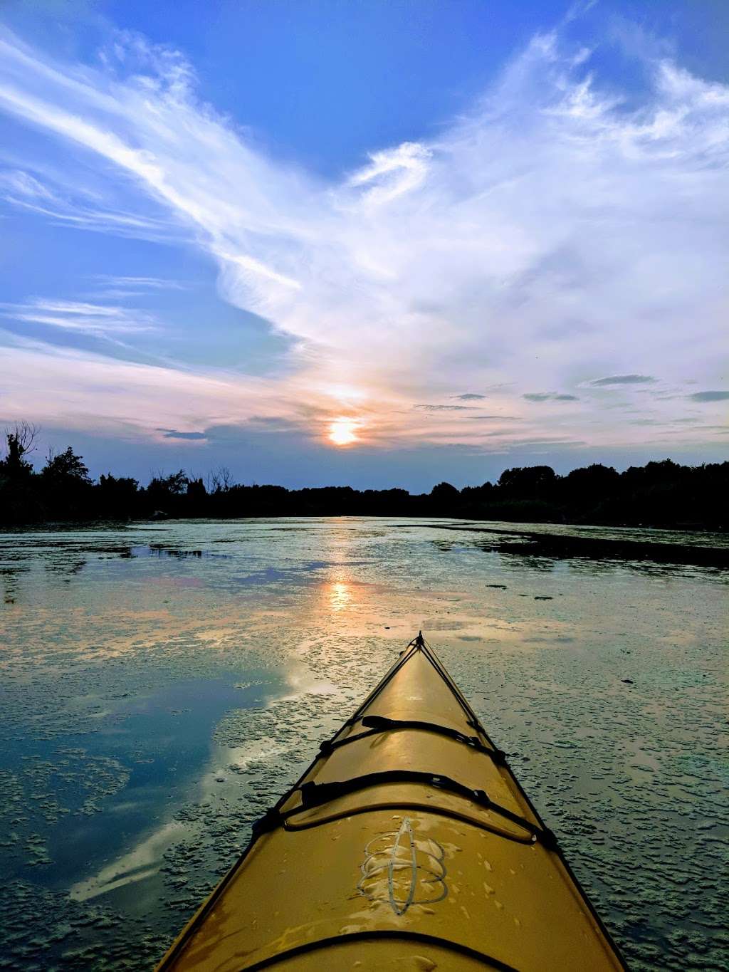 Rowlett Nature Trail | 1610 Miller Rd, Rowlett, TX 75088, USA | Phone: (972) 412-6145