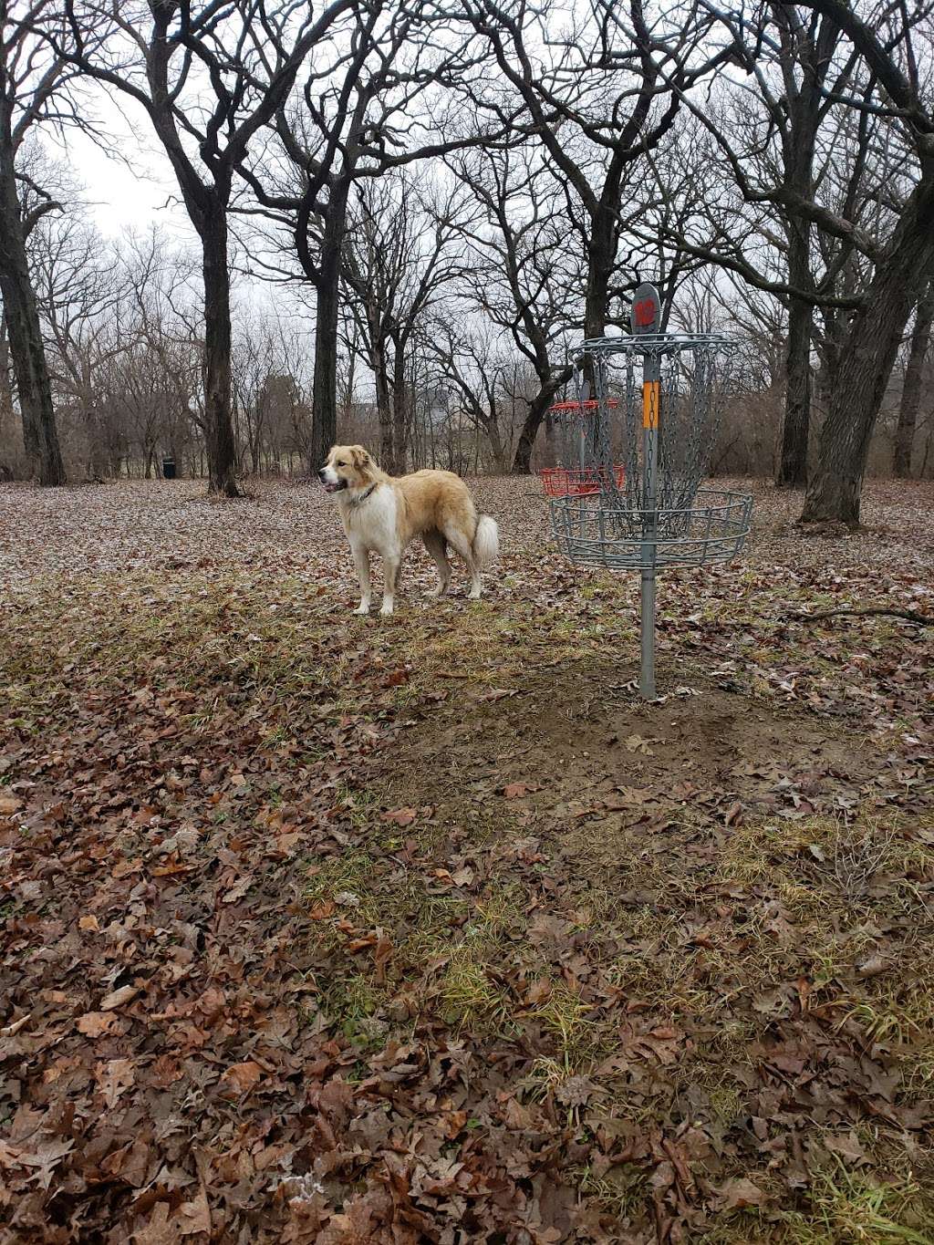 Round Barn Disc Golf Course | 24001-, 24199 Manhattan Rd, Manhattan, IL 60442 | Phone: (815) 478-3324