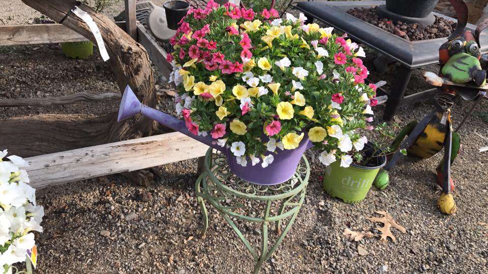 H & S Floral and Garden Center | 2621 U.S. 12, Michigan City, IN 46360, USA | Phone: (219) 879-4047